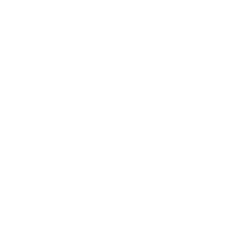 V5 Logo